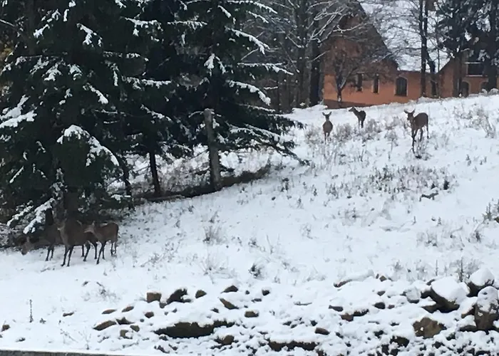 Bed & Breakfast Dask *