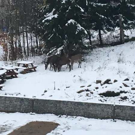 Dask * Szklarska Poręba